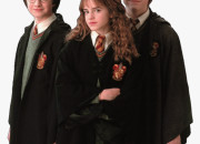 Quiz Harry, Ron, Hermione ou les 3 ?