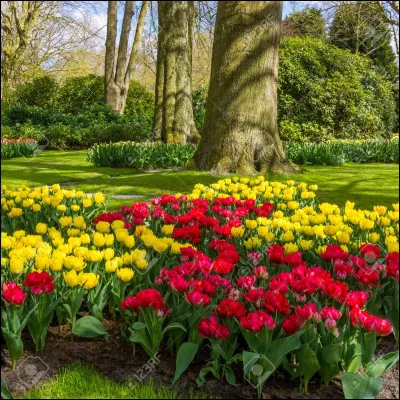 Quelle saison préfères-tu ?