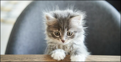 Tu es une personne...