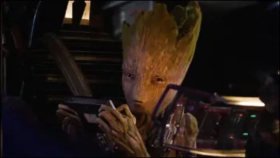 Maintenant, arrêtons-nous sur un petit détail humoristique. Que dit Rocket à Thor lorsqu'il lui présente Groot ?
