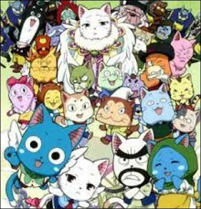 Qui est son Exceed ?