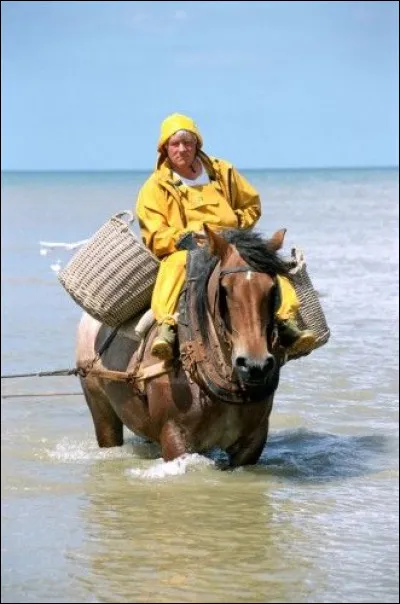 De quelle race est-il ?