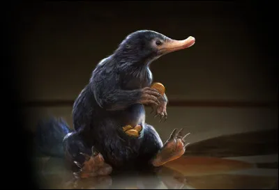 Cette créature est un :