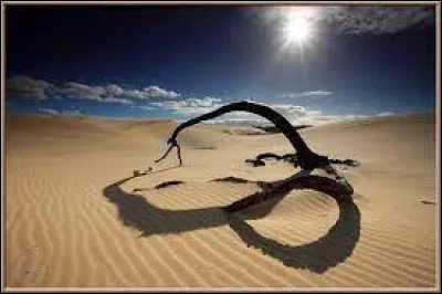 "40° à l'ombre" était une émission diffusée uniquement en été. Quand a-t-elle été diffusée ?