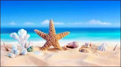 À quel groupe doit-on la chanson "Voilà l'été" en 1988 ?