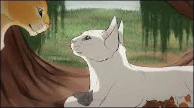 Lorsque tu es malade, quelle est ta réaction ?