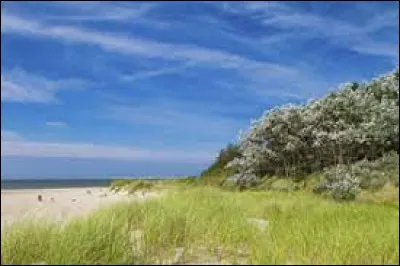 Où se situe l'île de Föhr ?