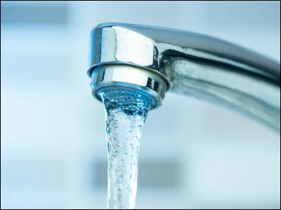 Quel genre de tarte fut créée pendant la Grande Dépression aux États-Unis et connut à nouveau un essor durant la pandémie de Covid 19 ?