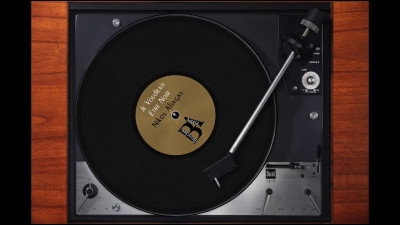 Qui a interprété la chanson : "Je voudrais être noir" ?