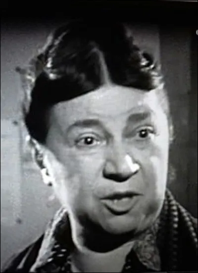 Qu'était-ce qu'un pumicif ?