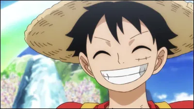 Quel est l'ennemi que Luffy affronte en premier ?