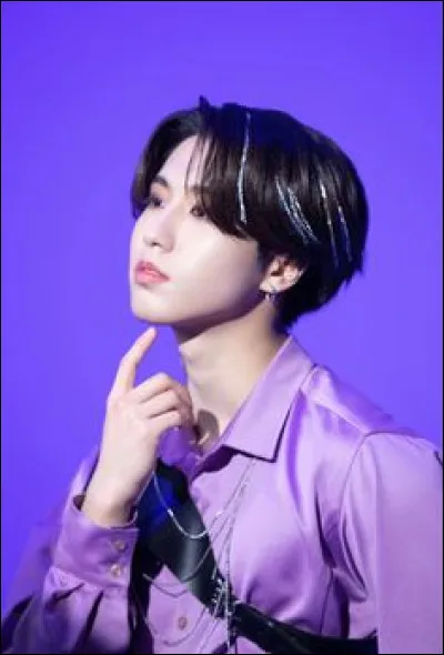 Est-ce que Stray Kids est ton groupe de k-pop préféré ?