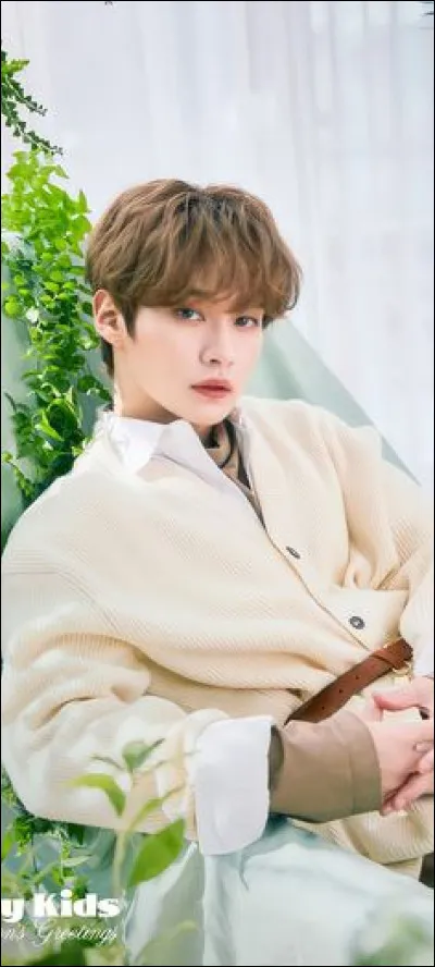 Combien as-tu de bias dans Stray Kids ?