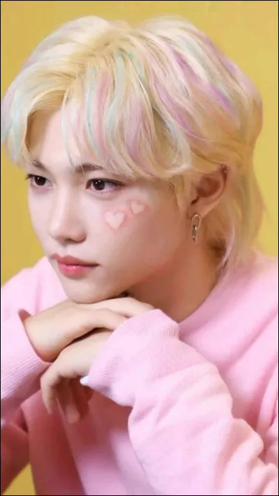 Combien de chansons de Stray Kids connais-tu ?