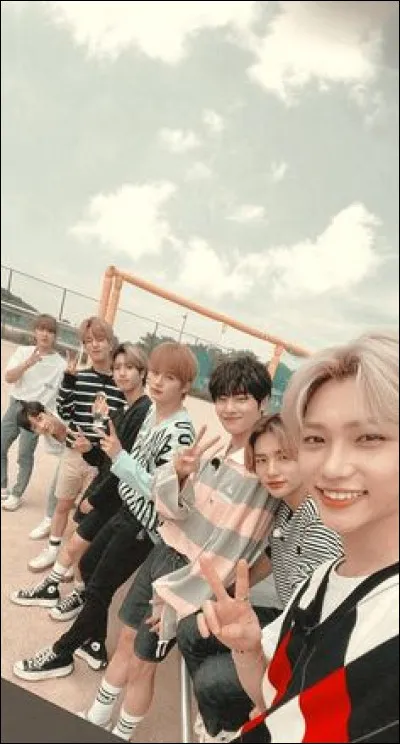 As-tu déjà regardé certains de leurs vlogs ?