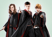 Test Qui es-tu dans ''Harry Potter'' ?