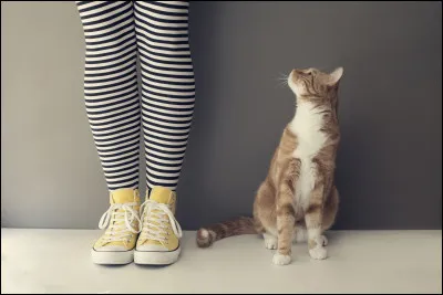 Quelle est la matière que tu préfères ?