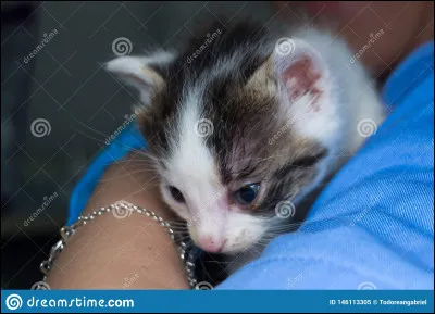 La grippe aviaire, tu en as entendu parler...
Qu'en penses-tu ?