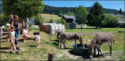 Ce week-end, tu dois rendre visite à vos grands-parents. Ils sont propriétaires dune ferme en Auvergne.