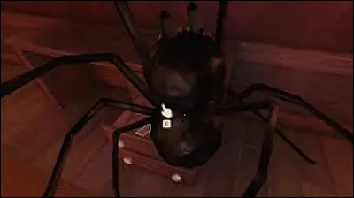 C'est une araignée qui se cache dans les tiroirs.