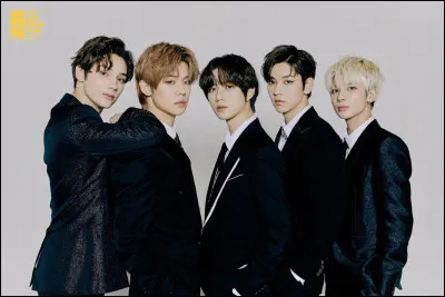 Avec quelle chanson ont-ils débuté ?