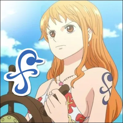 A qui Nami a-t-elle dédié son tatouage ?