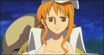 Dans l'équipage, Nami est :