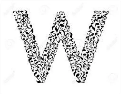 Quel support musical pouvait-on mettre dans un walkman ?