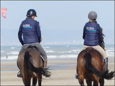 Et comment sont tes crins, ta queue ?