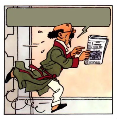 Tournesol, d'un naturel habituellement placide, semble céder à la panique : Que dit-il ?