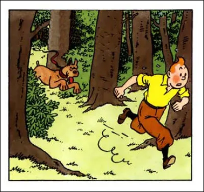 Ma parole, il n'y avait pas un élément de dialogue sur cette 6e case de la page 49 du "Secret de la Licorne", se dit le tintinophile avertit ?