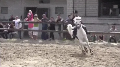 Si un jour tu perds a un concours :