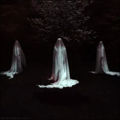 Qui sont ses déesses persécutrices infernales de la vengeance ?