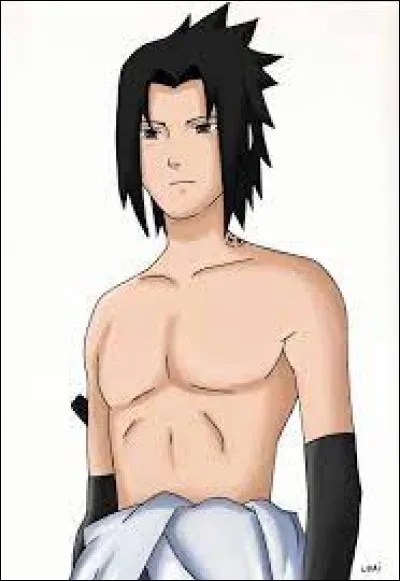 Dans quel anime ce personnage est-il ?