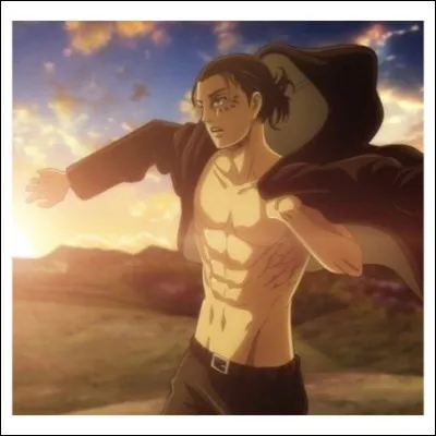 Dans quel anime ce personnage est-il ?