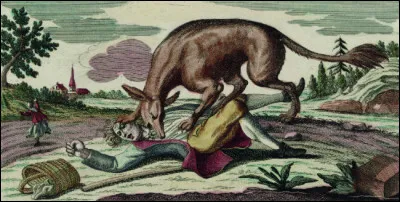 Et pour en finir avec les grands de ce monde (la fameuse France d'en haut) qui était roi de France durant les méfaits et crimes de la légendaire Bête du Gévaudan ?