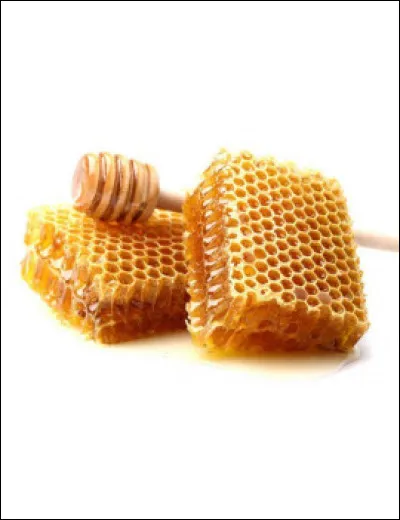 Comment appelle-t-on ces g&acirc;teaux de cire confectionn&eacute;s par les abeilles et dont les alv&eacute;oles contiennent le miel ?