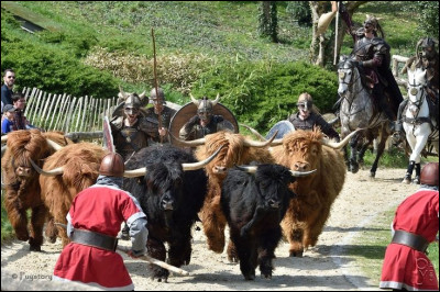 De quel spectacle cette image est-elle tirée ?