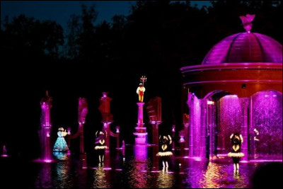 De quel spectacle nocturne cette image est-elle tirée ?