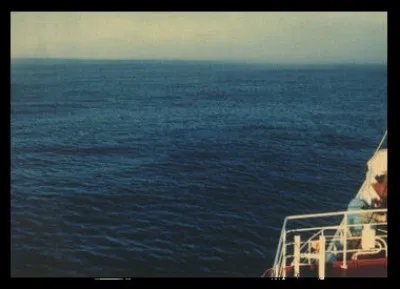 Voici l'image d'une "légère brise" de force 2 : les vaguelettes - de 20 à 50 cm - ne déferlent pas. Les feuilles s'agitent et les girouettes ... (Complétez !)