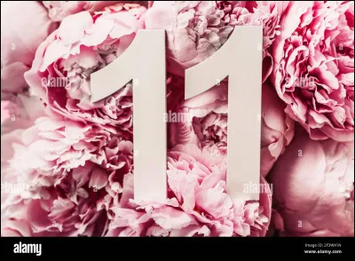 Le numéro atomique 11 désigne...