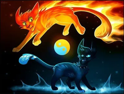 Préfères-tu le feu ou la glace ?