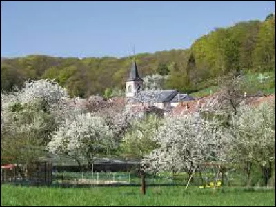 Nous sommes dans le Grand-Est, à Guerting. Village de l'aire d'attraction de Creutzwald, dans les régions naturelles du Warndt et du pays de Nied et près de la frontière allemande, il se situe dans le département ...
