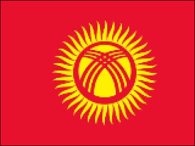 C'est le drapeau du Kirghizistan.