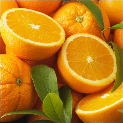 Niveau intelligence, comment es-tu ?