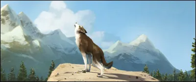 Que va apprendre Croc Blanc dans sa nouvelle vie ?