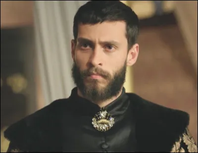 Quel est le MBTI de Sultan Ahmed I ?