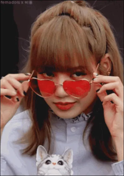 Qui est un(e) ami(e) de Lisa parmi eux ?