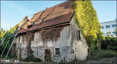 À qui doit-on : "la télé rend fou... mais j'me soigne" ?