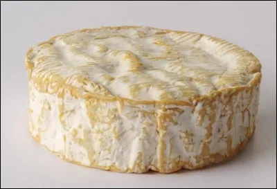 Quel est le type de croûte du camembert ?